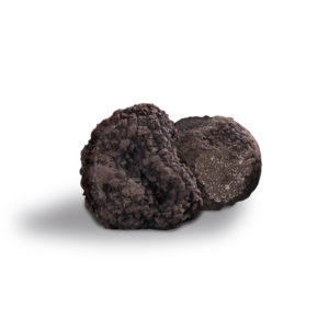 Truffe Noire Uncinatum (Tuber Uncinatum Chatin)