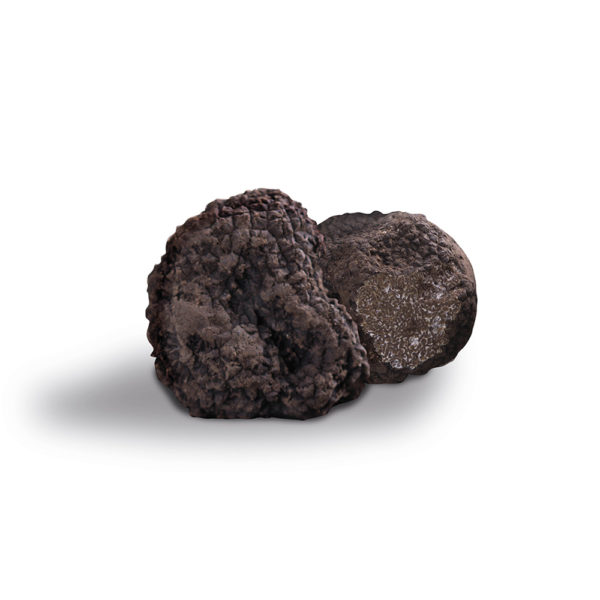 Truffe Noire Uncinatum (Tuber Uncinatum Chatin)