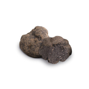Truffe Noire (Tuber Melanosporum Vitt.)