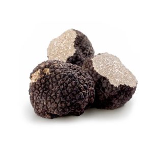 Truffe noire d’été (Tuber Aestivum Vitt.)