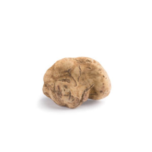 Truffe Blanche (Tuber Magnatum Pico)